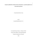 vmforeroc.pdf.jpg