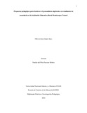 odiriartes.pdf.jpg