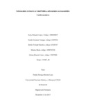 52999941.pdf.jpg