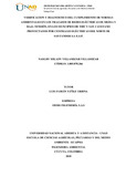 nmvillamizarv.pdf.jpg