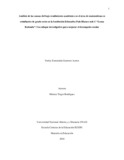 yu63gue503.pdf.jpg