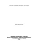 vrinconp.pdf.jpg