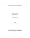 panavask.pdf.jpg