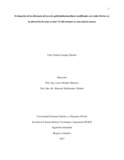 cyurquijos.pdf.jpg