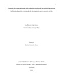 arrojasra.pdf.jpg