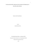 siestradar.pdf.jpg