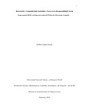 dcaperag.pdf.jpg