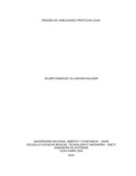novillamizars.pdf.jpg
