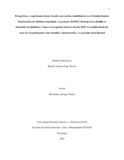 dpulichep.pdf.jpg