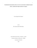 adiazmen.pdf.jpg