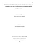 lpparedesm.pdf.jpg