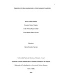 lvrojasc.pdf.jpg