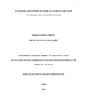 10781389.pdf.jpg