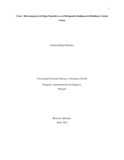 celmiramajin.pdf.jpg
