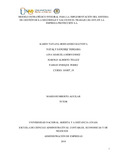 nsanchezve.pdf.jpg