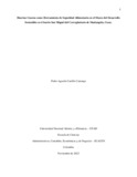 pcarrillocam.pdf.jpg
