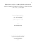 cymadroneroc.pdf.jpg