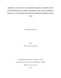 vmendozari.pdf.jpg