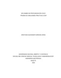 cacardonaari.pdf.jpg