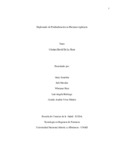 DiplomadodeprofundizacionenfarmacovigilanciaSocializacion.pdf.jpg