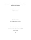 lvvivasm.pdf.jpg