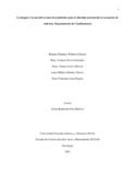 dvnovoag.pdf.jpg