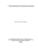 5317088.pdf.jpg