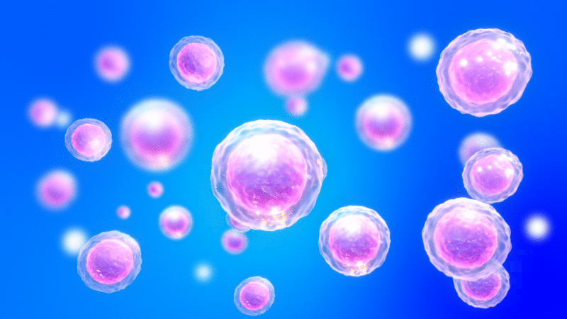 Célula vista al microscopío en movimiento sutil.