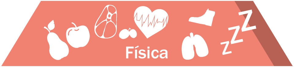 Fisica