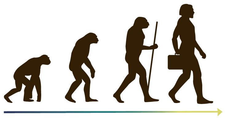 Evolución del hombre.