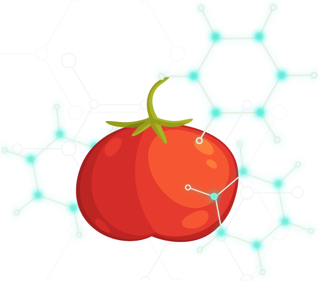 Representación de nanoalimentos. (Un tomate rojo y alrededor de este se encuentran tres redes biopolímericas.