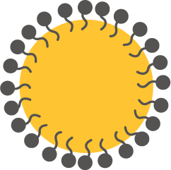 Nanoemulsiones