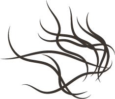 Nanofibras