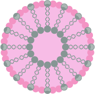 Liposomas