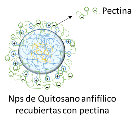 Méndez, 2018. Preparación de nanotransportadores a partir de quitosano/pectina musa paradisíaca.