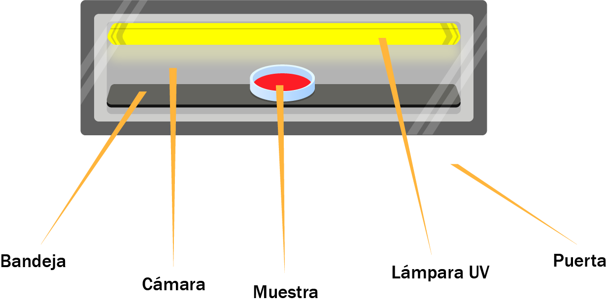 Diagrama esquemático de un equipo de pulsos de luz UV (lámpara UV de color amarillo y la muestra color rojo).