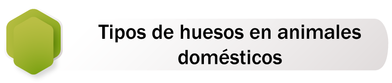 Botón de redirección al slide seis.