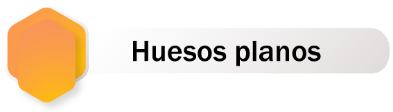 Botón de redirección al contenido de huesos planos, para acceder presione la tecla enter.