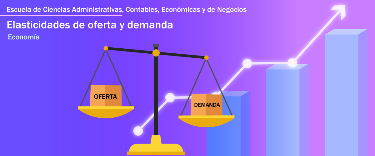  Escuela de ciencias administrativas, contables, Economicas y de negocios. Elasticidades de oferta y demanda. economia