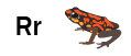 Rana R mayúscula, r minúscula