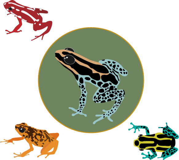 Tres ranas de diferentes colores al rededor de un circulo donde se encuentra una rana  mas grande.
