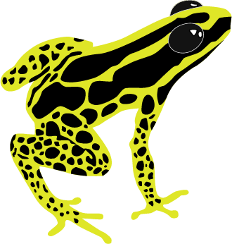 Rana amarilla con manchas negras.