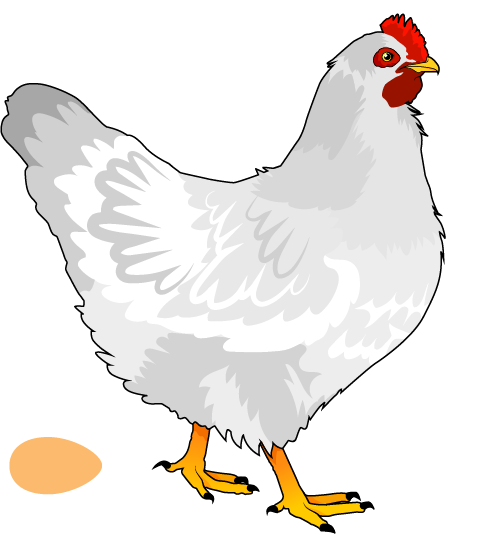 Gallinas de granja con diferentes características genéticas.