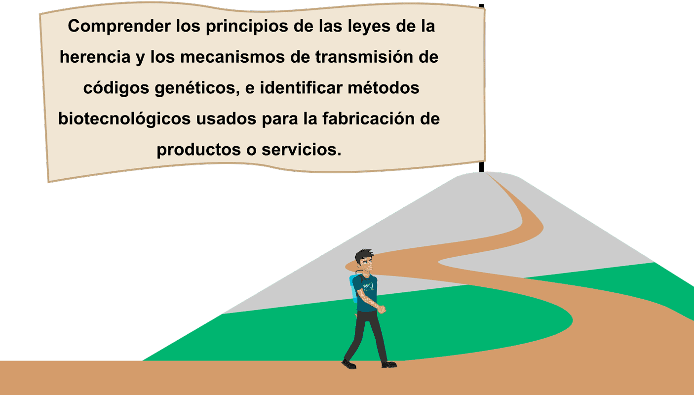 Gráfica de una persona presentando el objetivo del ova.