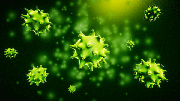 Representación gráfica  en 3D de un virus.