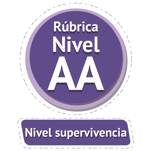 Rúbrica nivel experto (Nivel AA)
