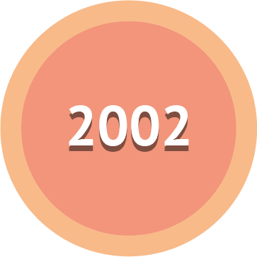 Año 2002