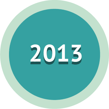 Año 2013